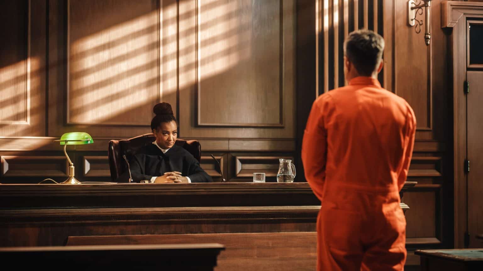 Plea Types Of Pleas In Criminal Cases | Alatorre Law